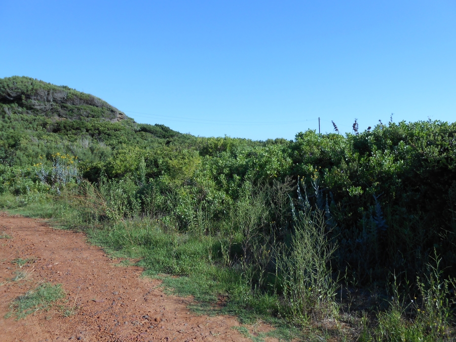 0 Bedroom Property for Sale in Oyster Bay Eastern Cape